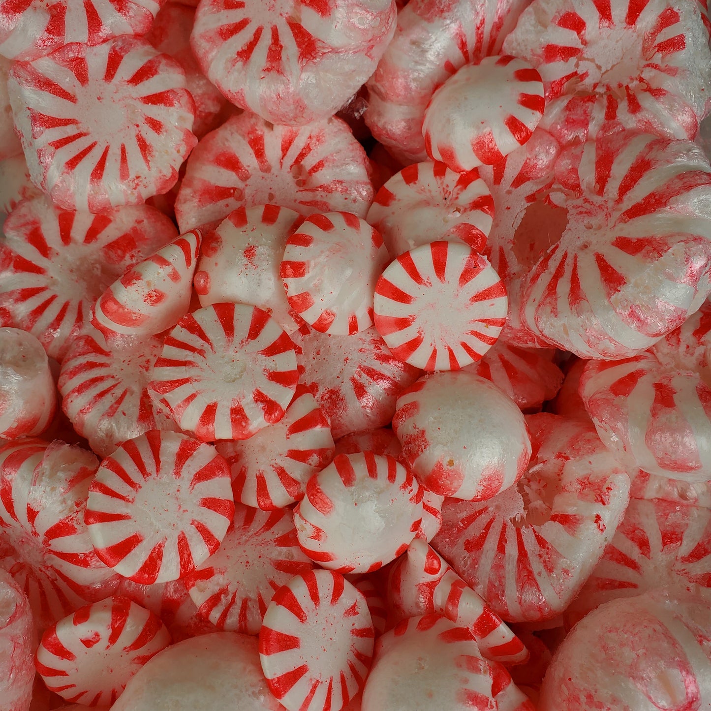 Puffed Peppermints - Freeze Dried Peppermints